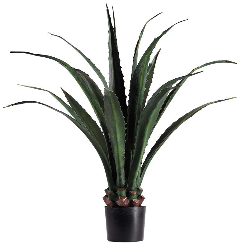 AGAVE 1145cm (45 PO) - Créations Festives