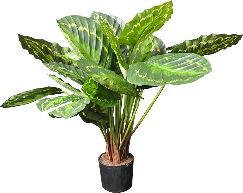 CALATHEA MEDAILLON 60 CM (23.5 PO) OU 90 CM (27.5 PO) - Créations Festives