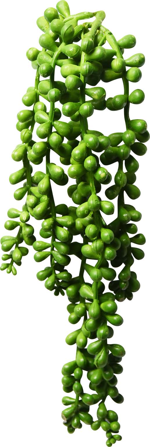 CHAINE DE PERLE ARTIFICIEL 43CM (21 PO) - Créations Festives