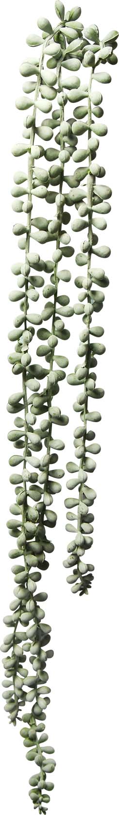 CHAINE DE PERLE ARTIFICIEL 73.5 CM (29 PO) - Créations Festives