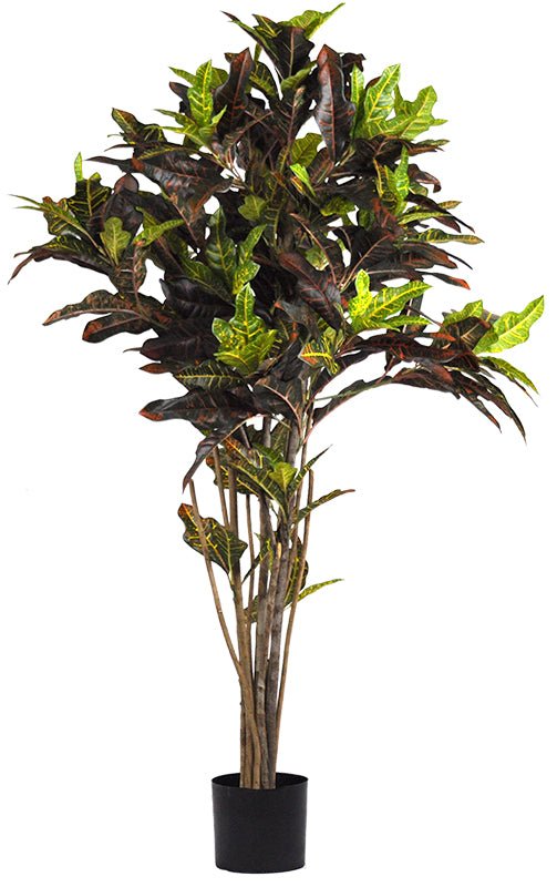 COTRON PETRA 183 CM (72 PO) - Créations Festives