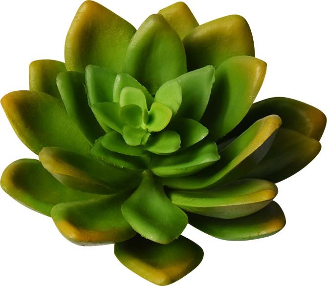 ECHEVARIA ARTIFICIEL SAUGE, VERT OU AUBERGINE 14 CM (5.5 PO) - Créations Festives