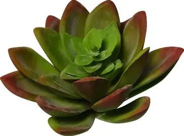 ECHEVARIA ARTIFICIEL SAUGE, VERT OU AUBERGINE 14 CM (5.5 PO) - Créations Festives