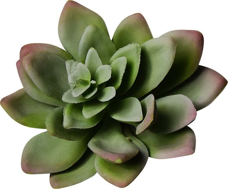 ECHEVARIA ARTIFICIEL SAUGE, VERT OU AUBERGINE 14 CM (5.5 PO) - Créations Festives
