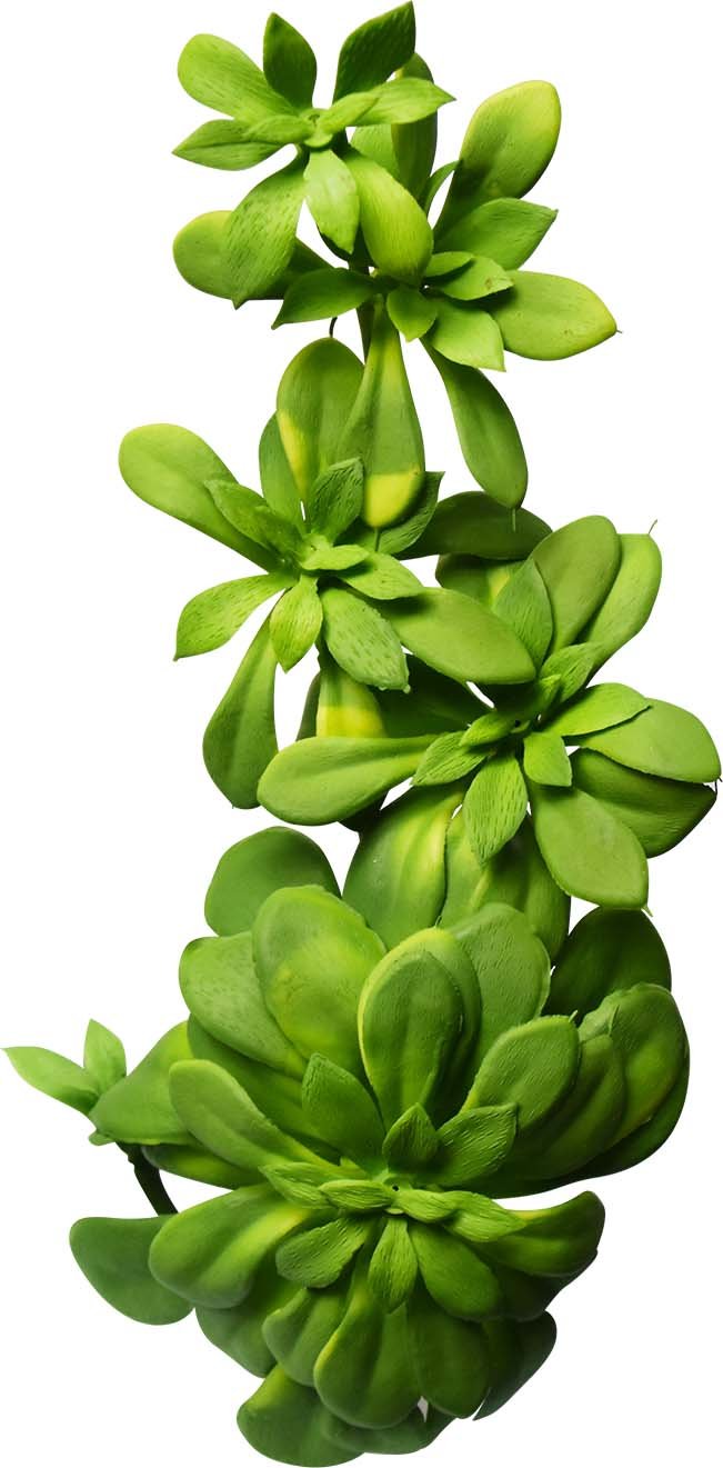 ECHEVARIA BUISSON ARTIFICIEL VERT, VERT/GRIS OU AUBERGINE 28 CM (11 PO) - Créations Festives