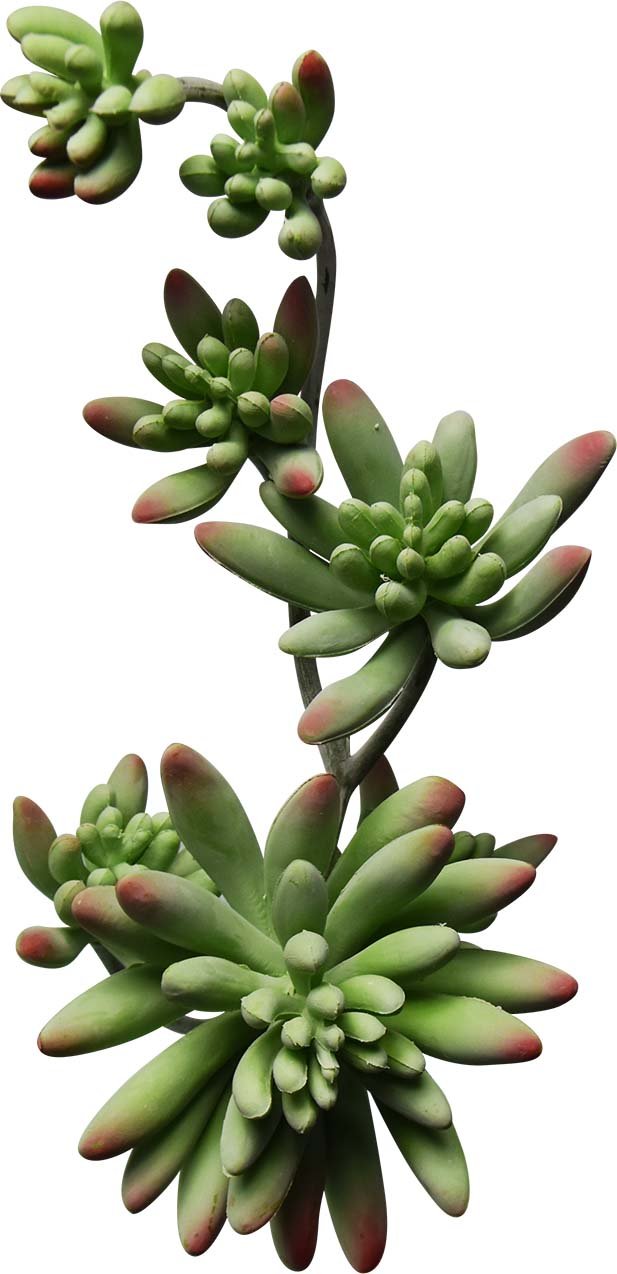 ECHEVARIA BUISSON ARTIFICIEL VERT, VERT/GRIS OU AUBERGINE 28 CM (11 PO) - Créations Festives