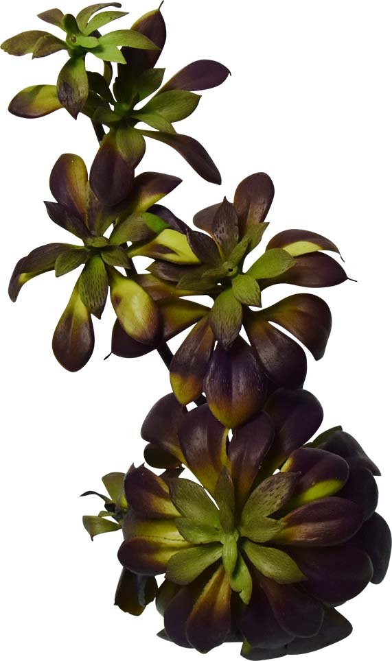 ECHEVARIA BUISSON ARTIFICIEL VERT, VERT/GRIS OU AUBERGINE 28 CM (11 PO) - Créations Festives