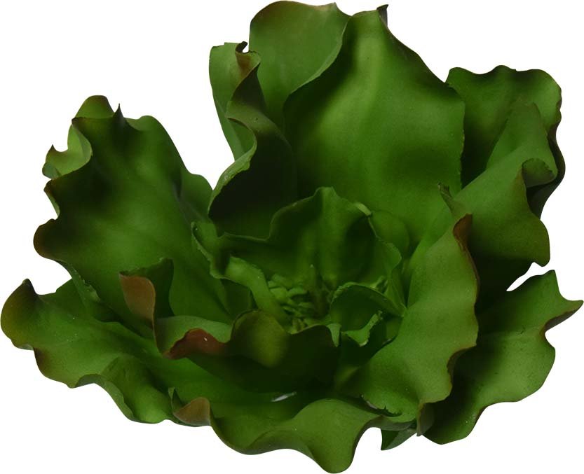 ECHEVARIA CHOU ARTIFICIEL 15 CM (6 PO) - Créations Festives