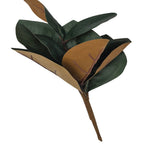 FEUILLES DE MAGNOLIA 40 cm (15 PO) - Créations Festives