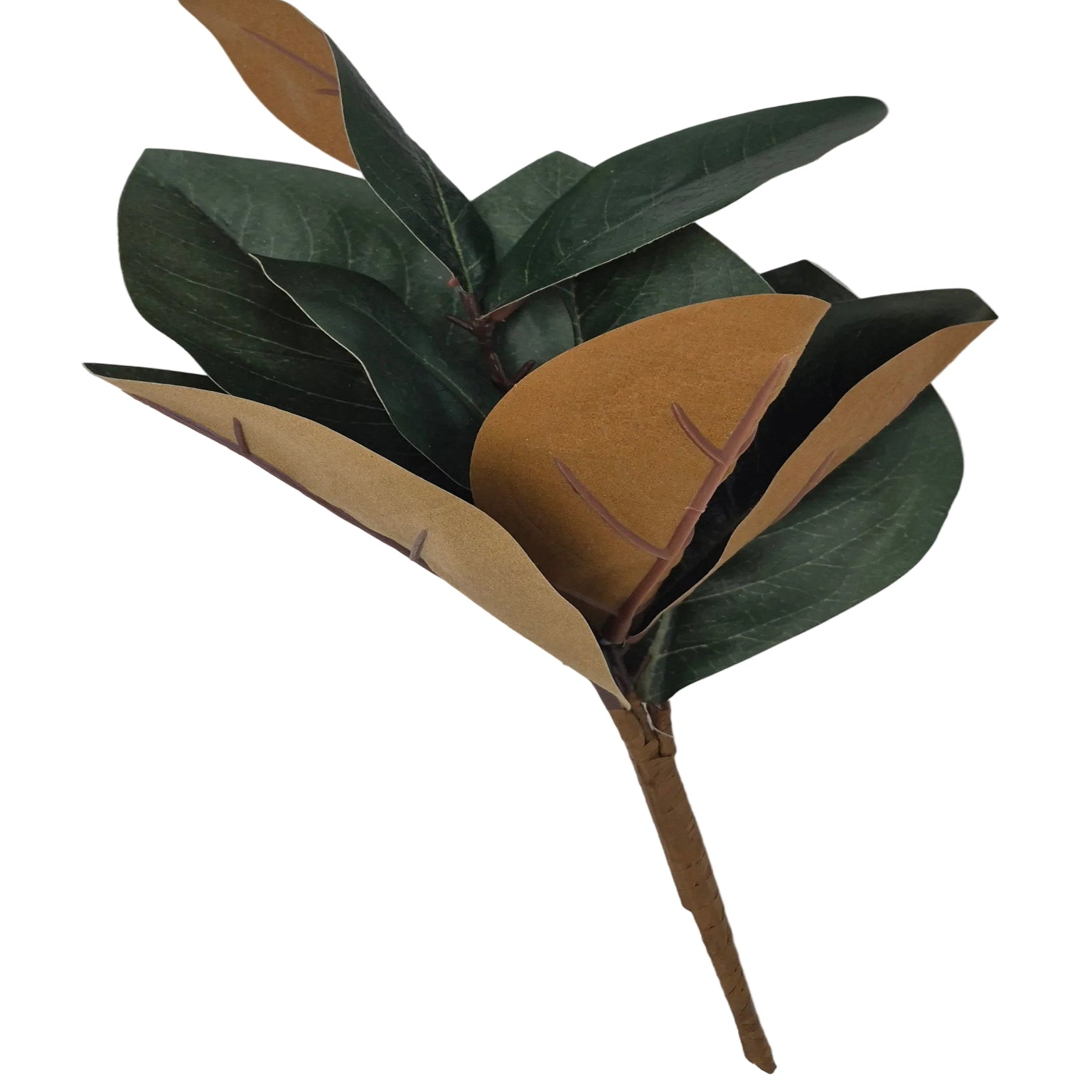 FEUILLES DE MAGNOLIA 40 cm (15 PO) - Créations Festives
