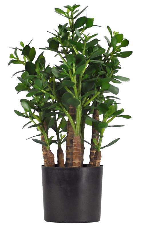 JADE 35.5 CM (14 PO) - Créations Festives