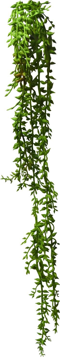 ORPIN DE MORGAN EN CHAINE ARTIFICIEL 53 CM (21 PO) - Créations Festives