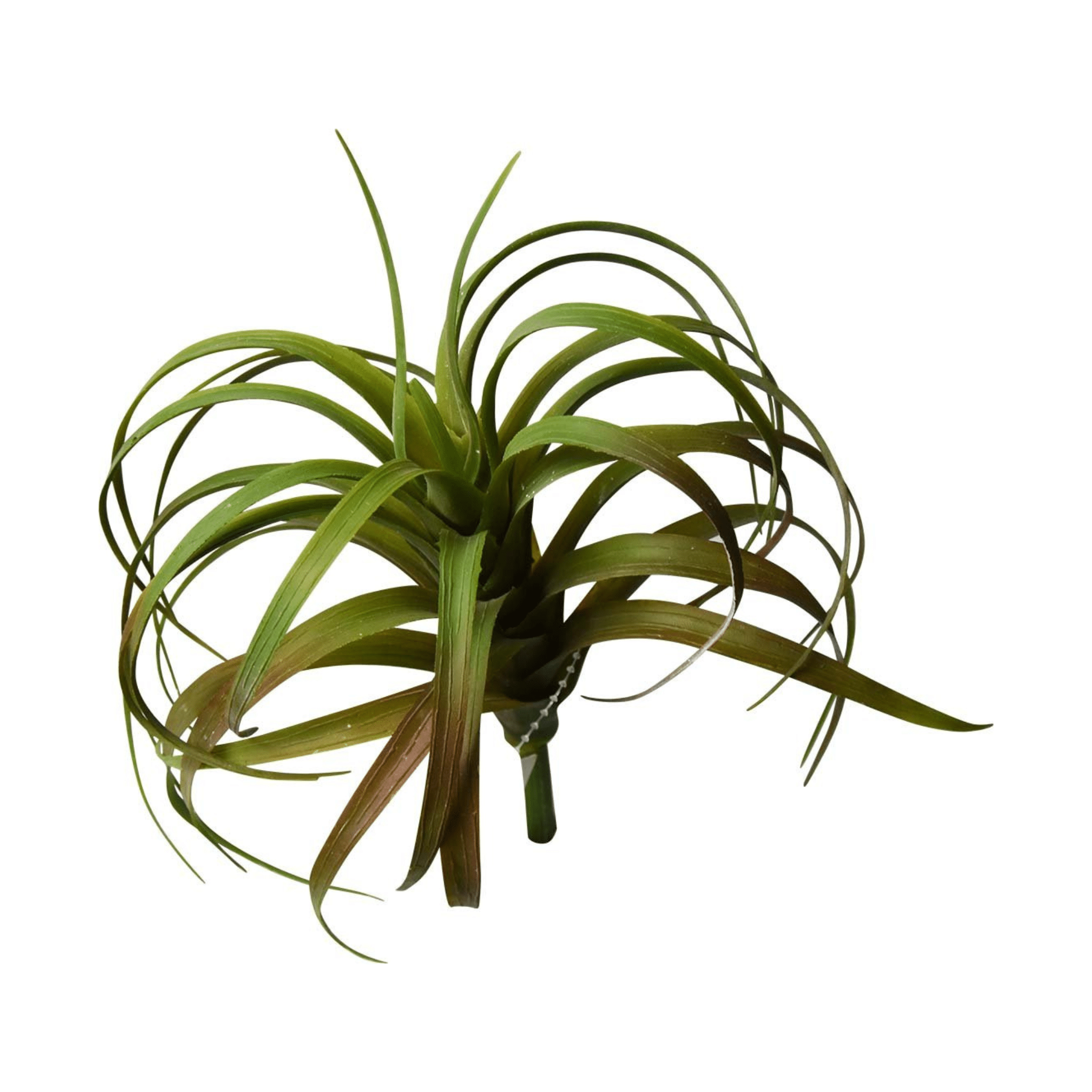 Petite plante artificielle ｜TILLANDSIA ARTIFICIEL - Créations Festives