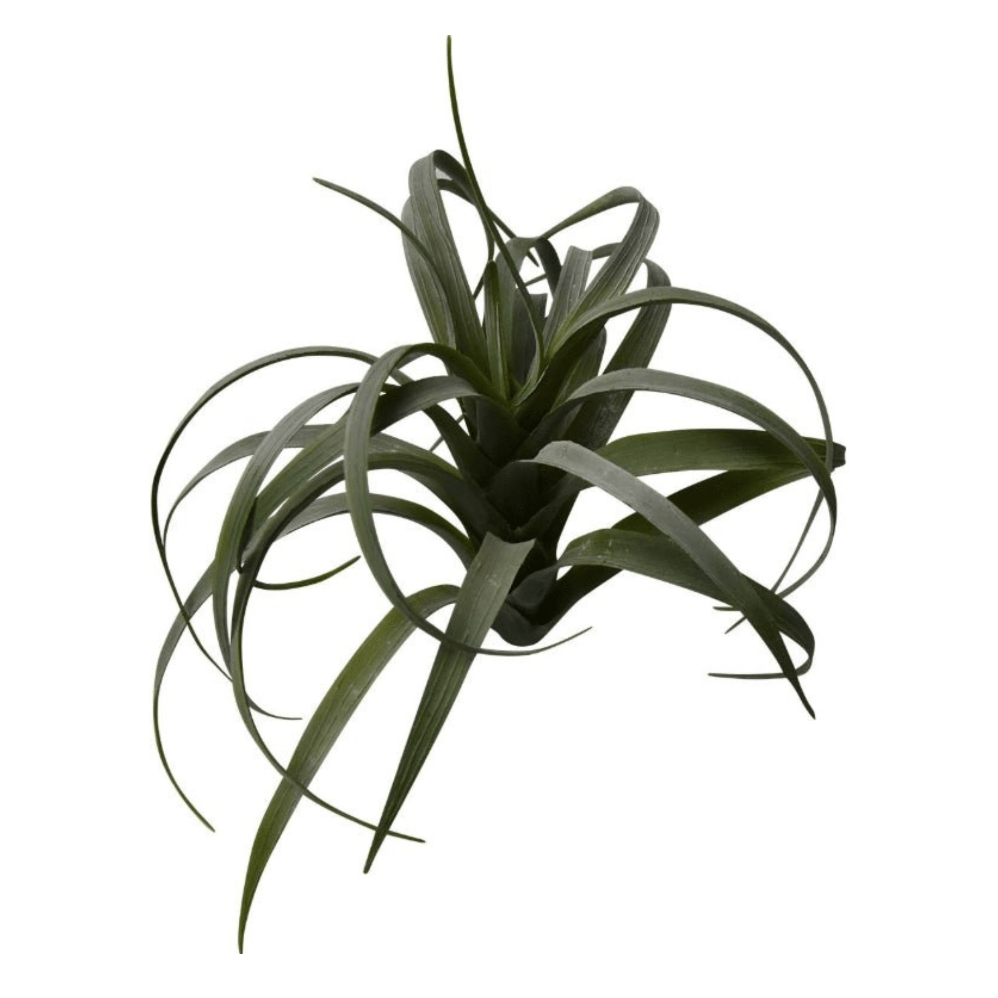 Petite plante artificielle ｜TILLANDSIA VERT/GRIS ARTIFICIEL - Créations Festives