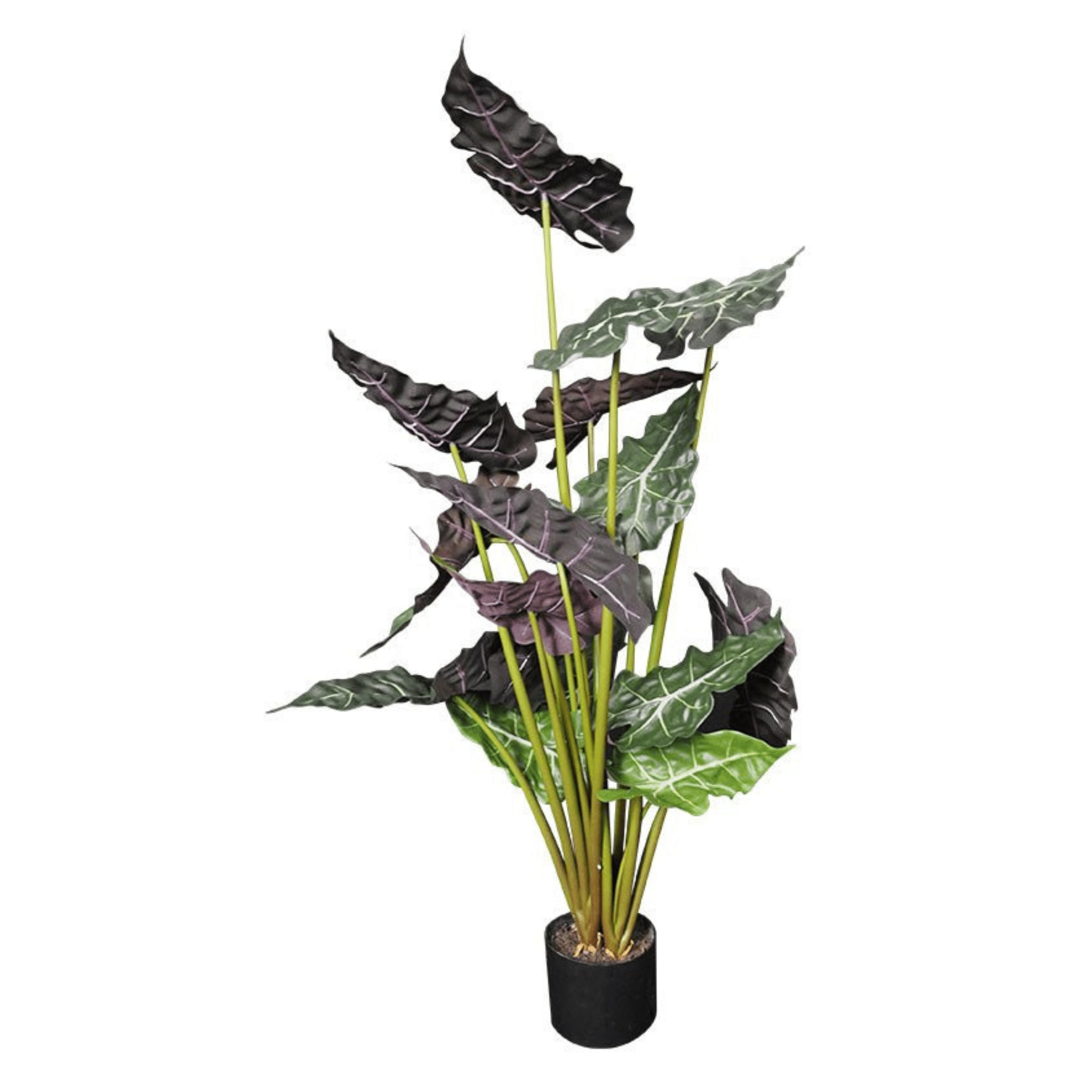 Plante artificielle｜ALOCASIA AMAZONICA 90 CM (35.5 PO) - Créations Festives