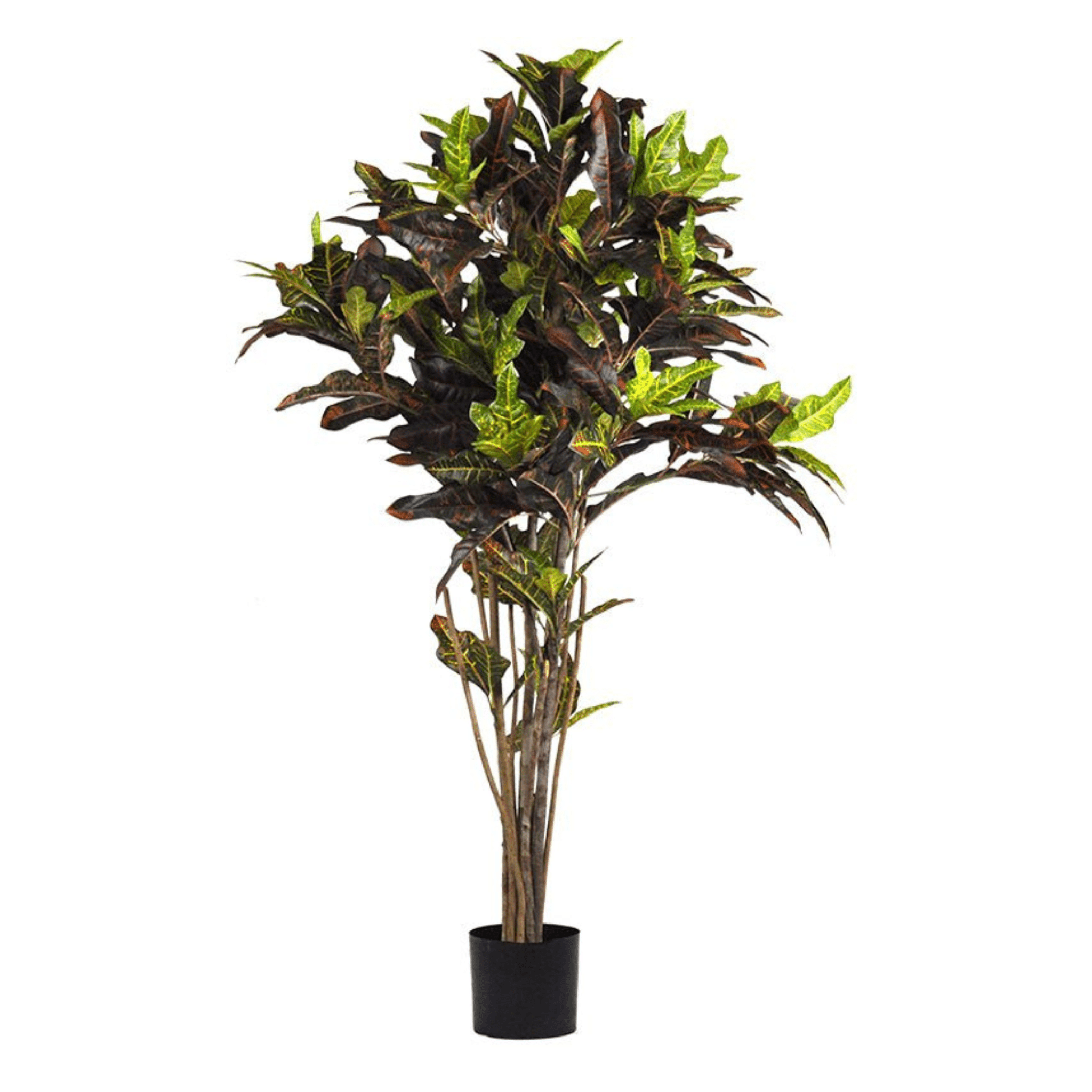 Plante artificielle｜COTRON PETRA 183 CM (72 PO) - Créations Festives