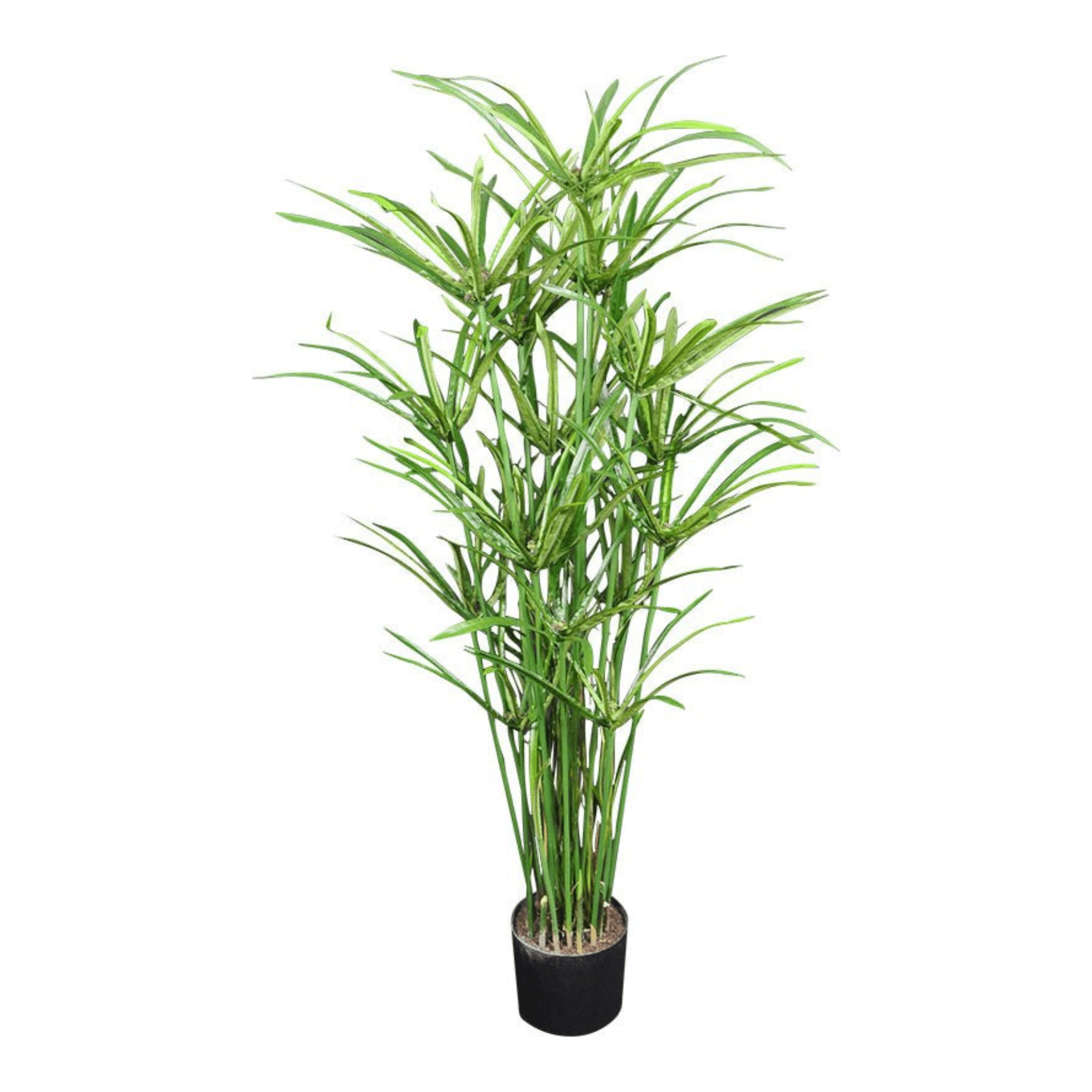 Plante artificielle｜CYPERUS ROYAL 119.5 CM (47 PO) - Créations Festives