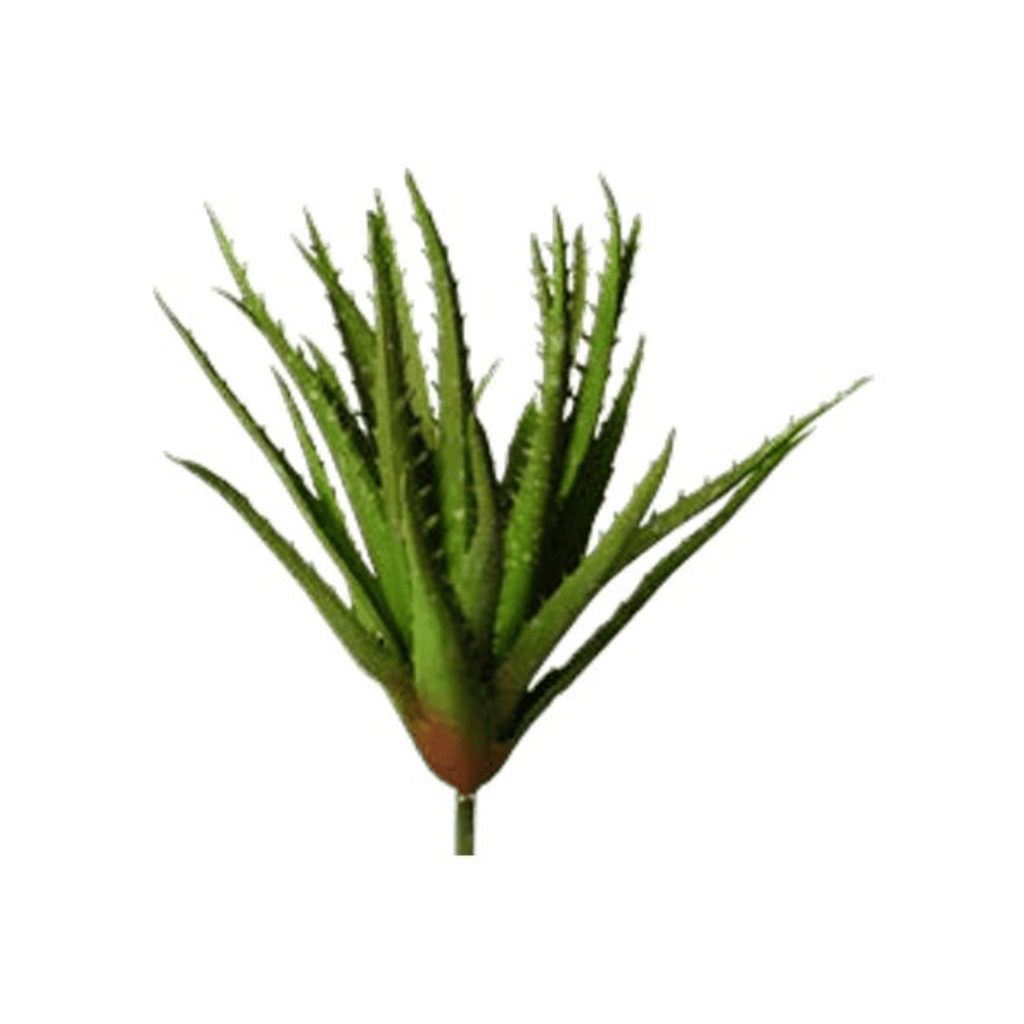 Plante grasse artificielle ｜ALOE VERA GREEN ARTIFICIEL - Créations Festives