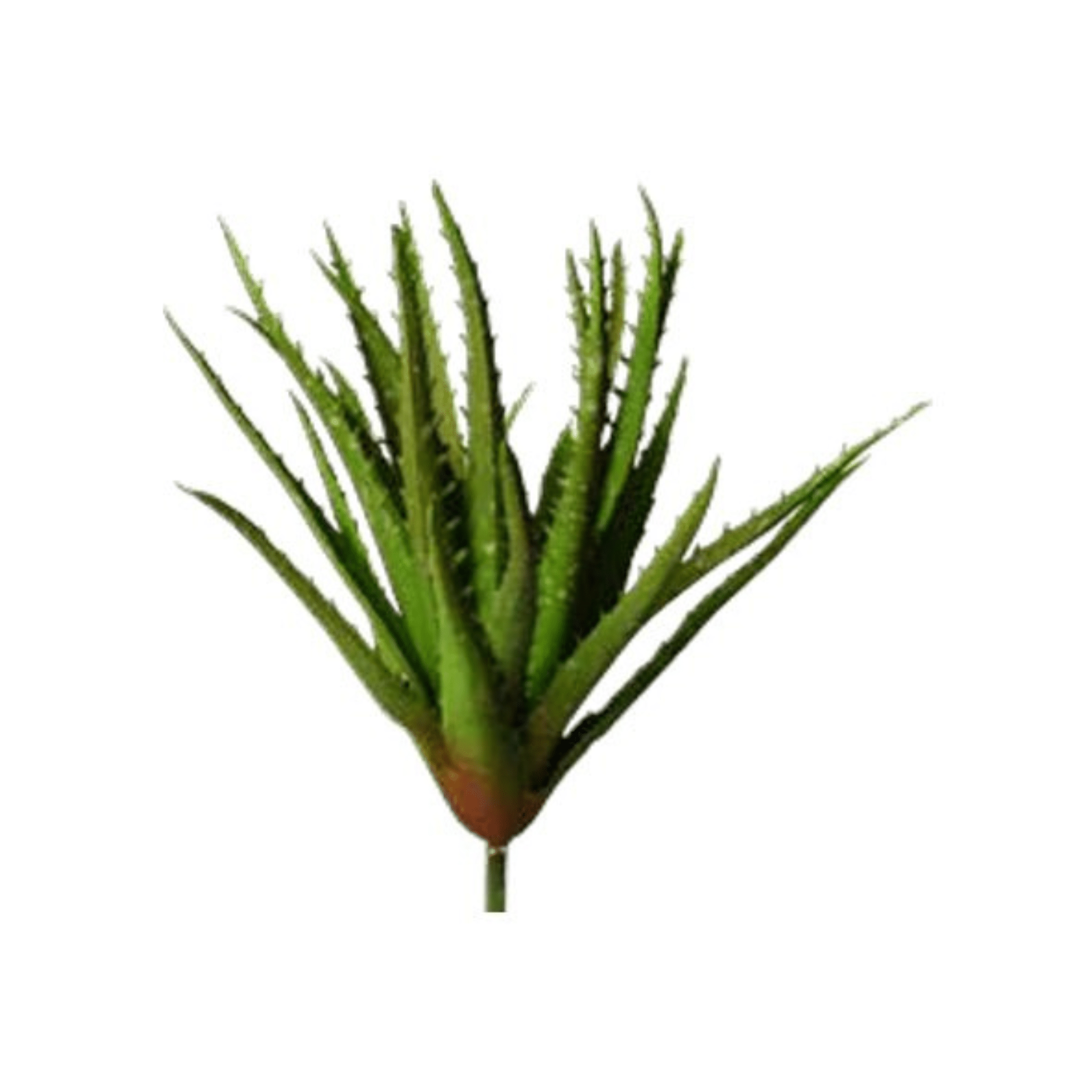 Plante grasse artificielle ｜ALOE VERA GREEN ARTIFICIEL - Créations Festives