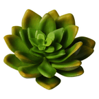 Plante grasse artificielle ｜ECHEVARIA - Créations Festives