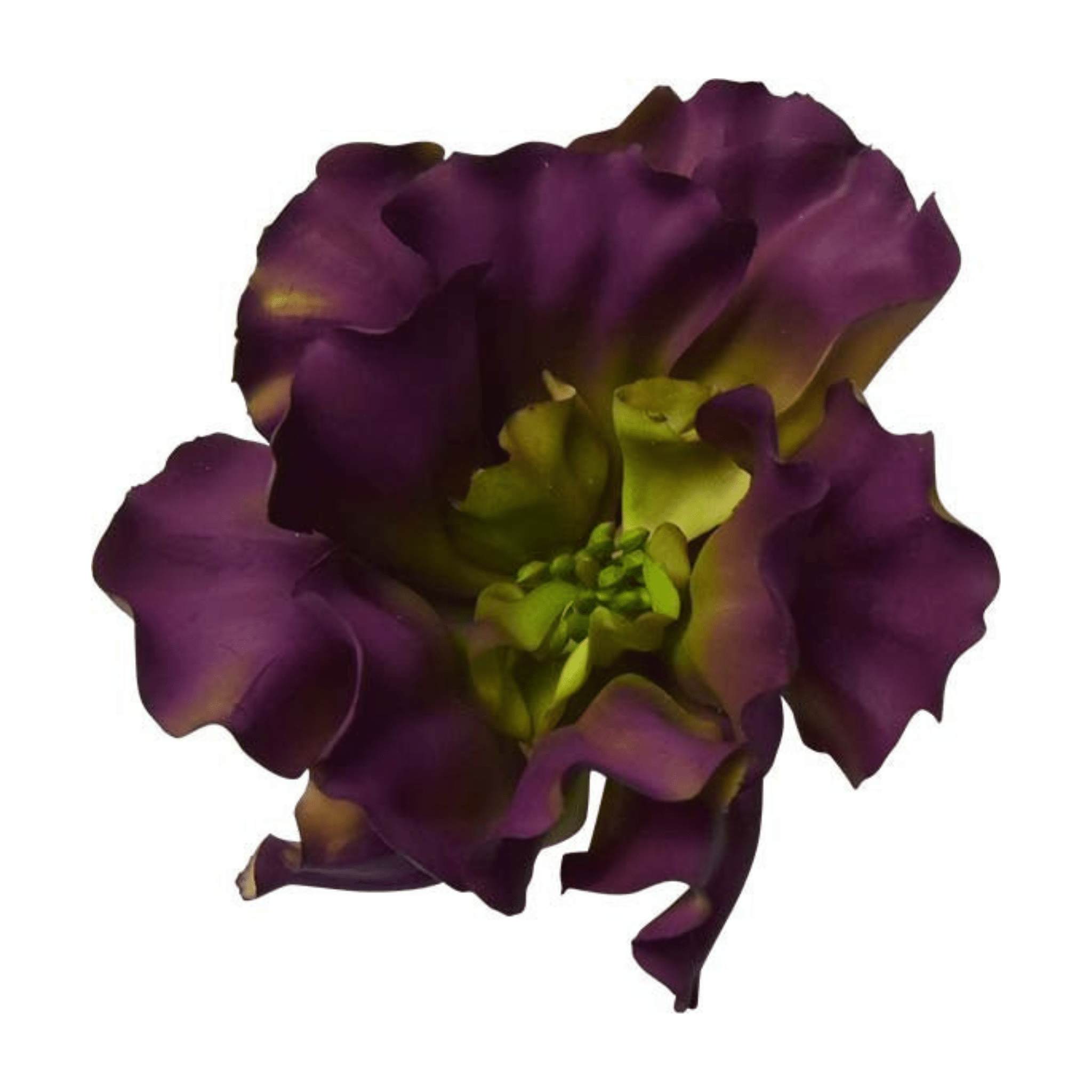 Plante grasse artificielle ｜ECHEVARIA CHOU ARTIFICIEL - Créations Festives