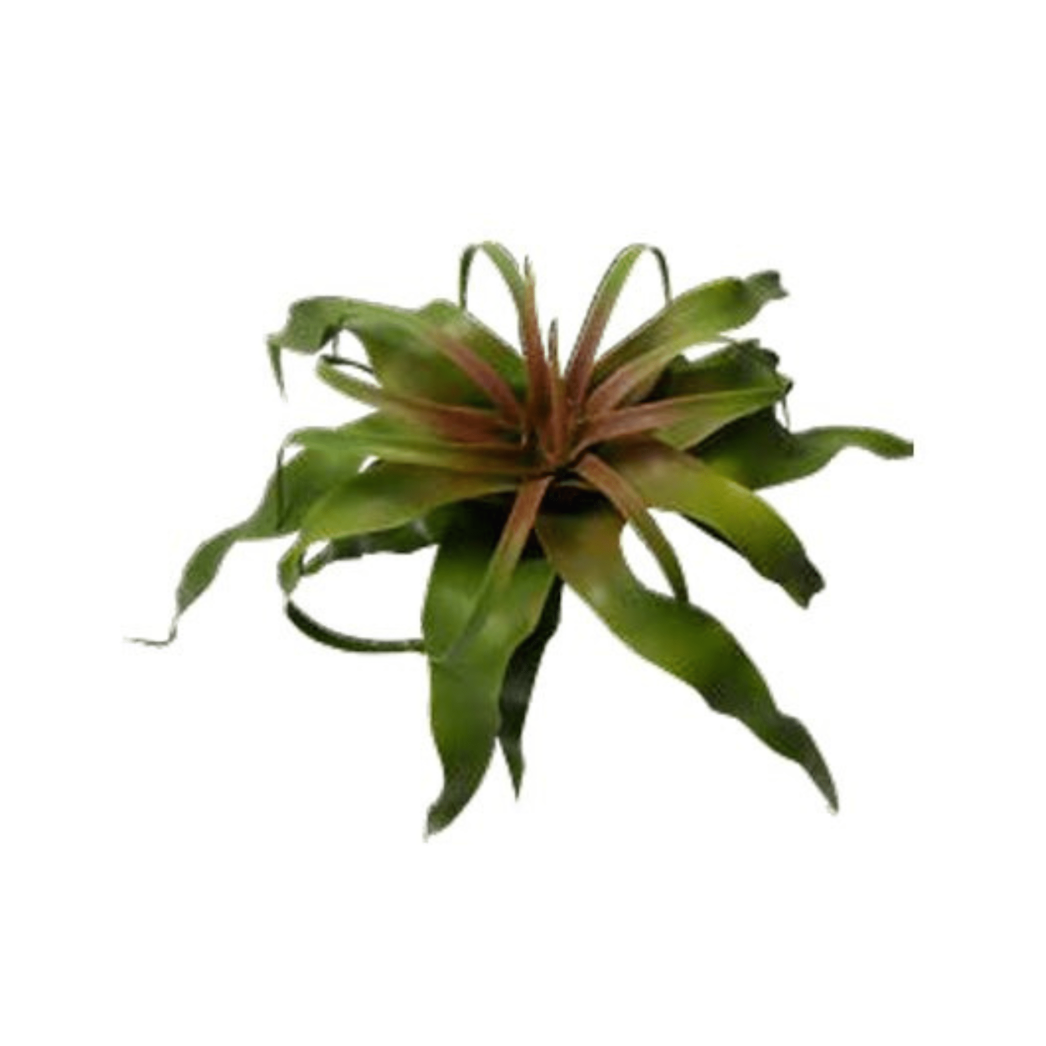 Plante grasse artificielle ｜TILLANDSIA FRISÉE ARTIFICIELLE - Créations Festives