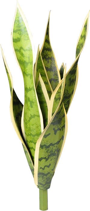 SANSEVERE LAURENTII TÊTE 40.5 CM (16 PO) - Créations Festives