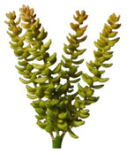 SEDUM BURRITO ARTIFICIEL 18 CM (7 PO) - Créations Festives