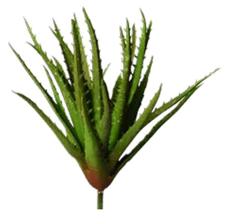TIGE D'ALOE VERA GREEN ARTIFICIELLE 30.5 CM (12 PO) - Créations Festives