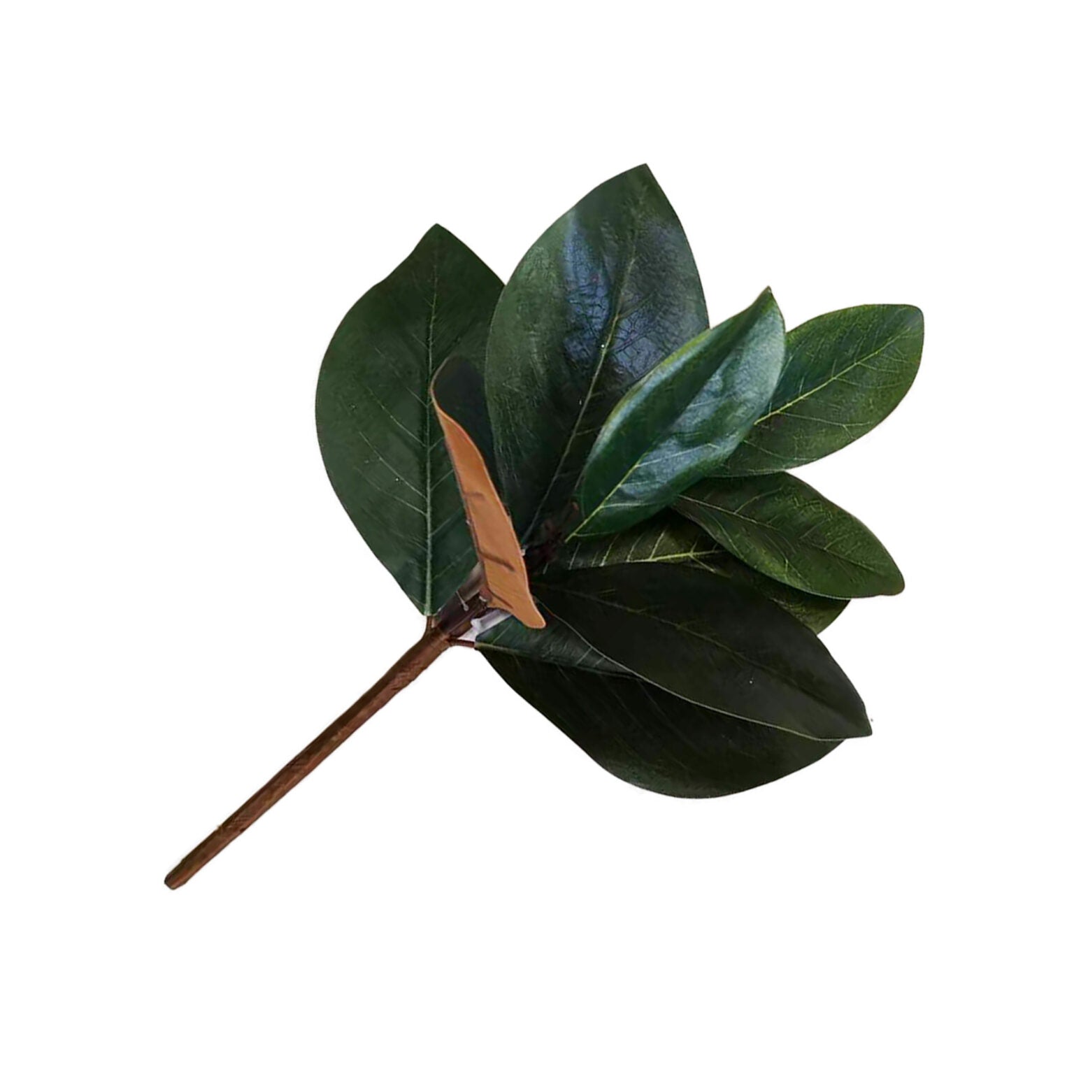 TIGE DE FEUILLES DE MAGNOLIA 40 cm (15 PO) VERT FONCÉ - Créations Festives