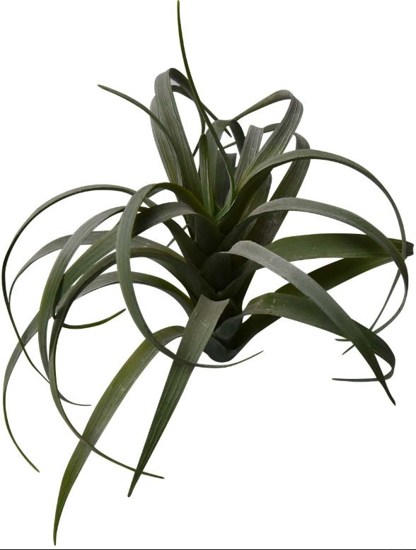TILLANDSIA VERT/GRIS ARTIFICIEL 23 CM (9 PO) - Créations Festives